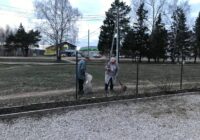 IMG_20220420_071130_036