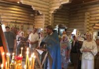 IMG_20220715_081603_949