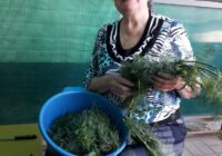 IMG_20220815_093528_806