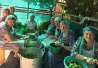 IMG_20220815_093538_435