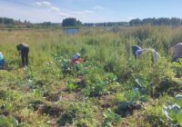 IMG_20220815_094129_321