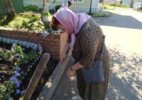 IMG_20220815_153620_090