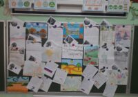 IMG_20221026_143419_832