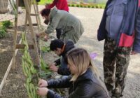 IMG_20230529_081201_606