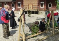 IMG_20230529_081201_923