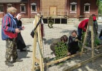 IMG_20230529_081202_244