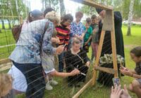 IMG_20230716_151942_462