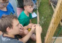 IMG_20230716_151957_451