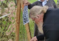 IMG_20230716_155354_078