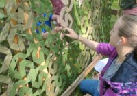 IMG_20230716_163523_569