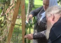 IMG_20230716_163523_830