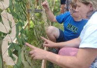 IMG_20230716_164447_067