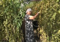 IMG_20230823_150106_634