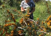 IMG_20230823_150115_002