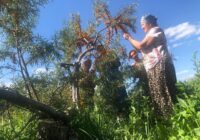 IMG_20230823_150115_856