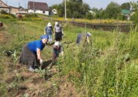 IMG_20230823_150132_225