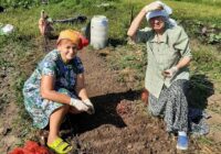 IMG_20230823_150132_230