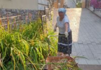 IMG_20230823_150154_358