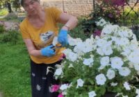 IMG_20230823_150154_764