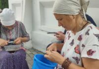 IMG_20230823_150201_311