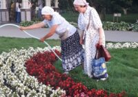 IMG_20230823_152147_318