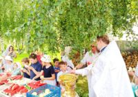 IMG_20230823_154947_560