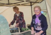 IMG_20230904_113658_393