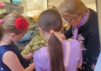 IMG_20230904_113659_224