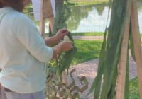 IMG_20230904_113706_578