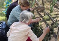 IMG_20240609_155158_839