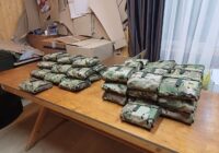 IMG_20240610_105950_295