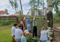 IMG_20240617_064826_351