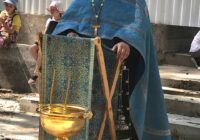 IMG_20240723_094431_139