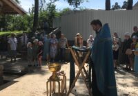 IMG_20240723_094438_846