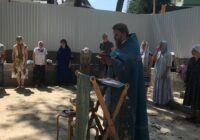 IMG_20240723_094445_581